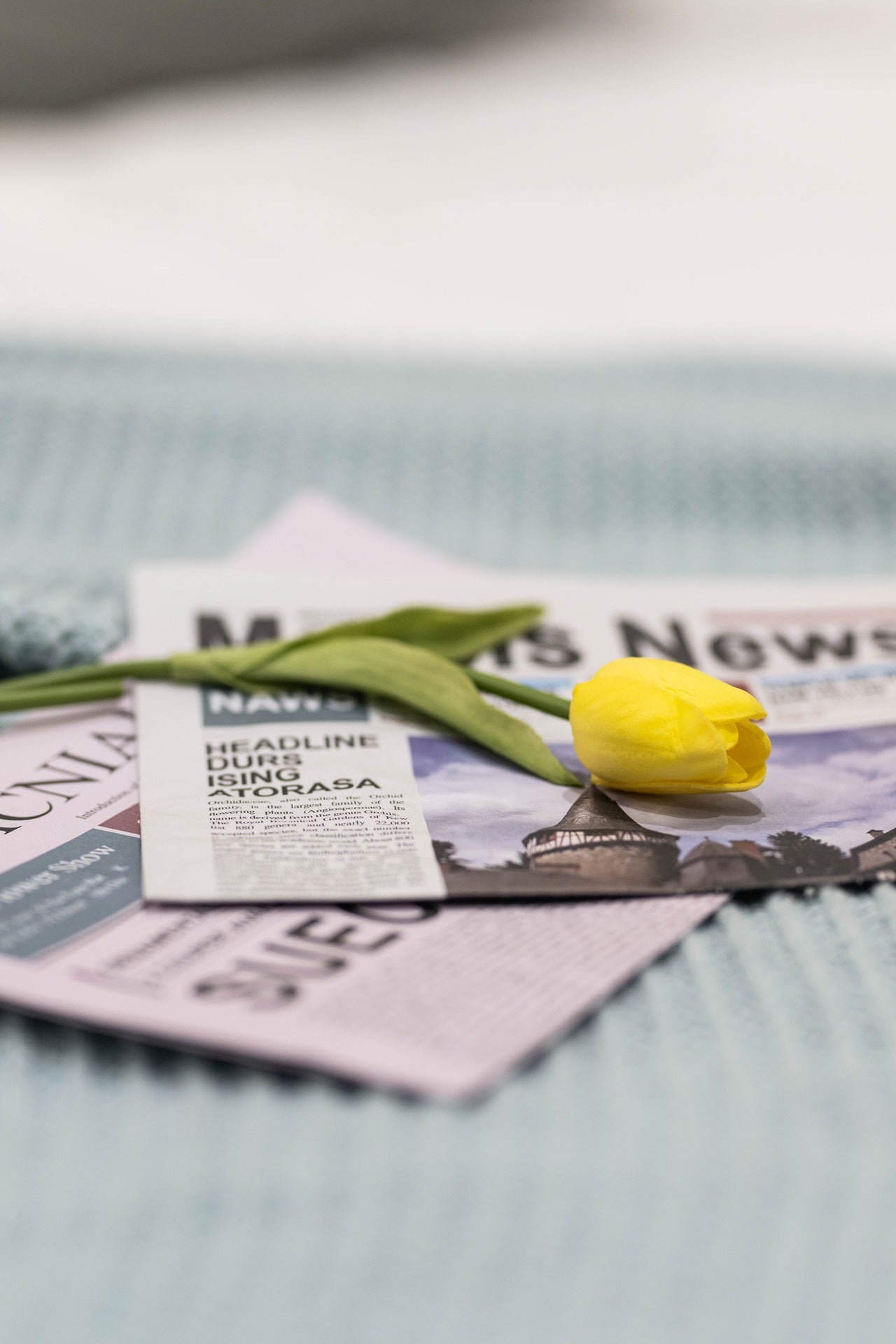 Sunlight Suite with private bathroom (SJ04)