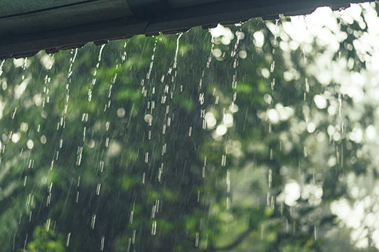 Protect Your Property During the Rainy Season