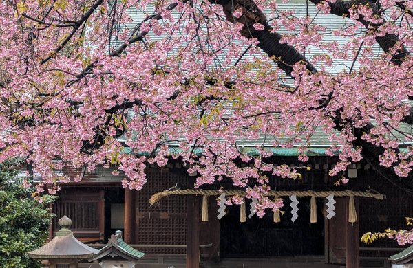 Ueno Park